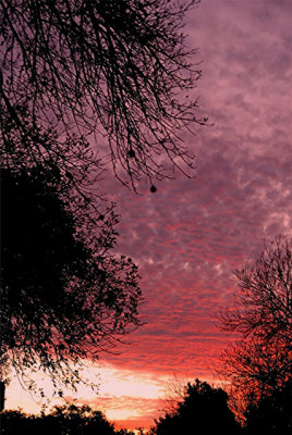 January 2008 Sunset.jpg
