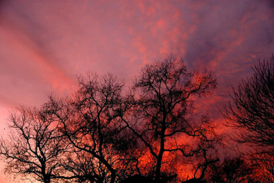 1-9-2008 Cirrus Sunset 2.jpg