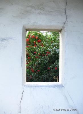 Through a window in Presidio Park