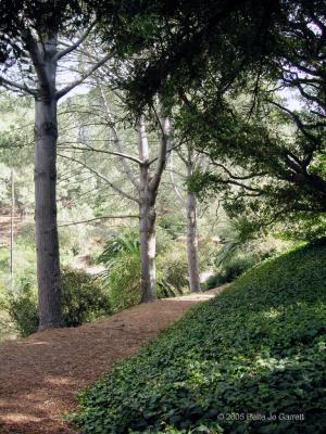 Hiking trail in Presidio Park