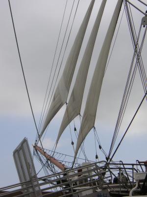 Tall ship sails on San Diego harbor