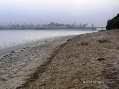 pp_beach1.jpg