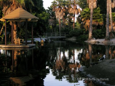 pp_morning_reflect1.jpg
