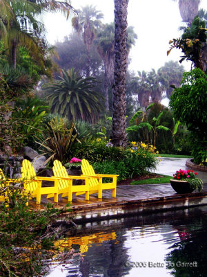 pp_yellow_chairs_2.jpg