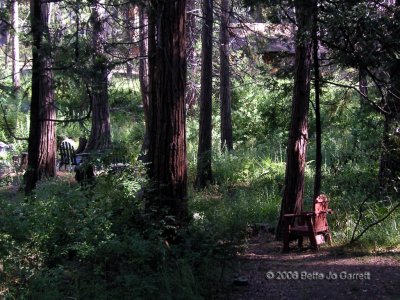 At the Quiet Creek Inn