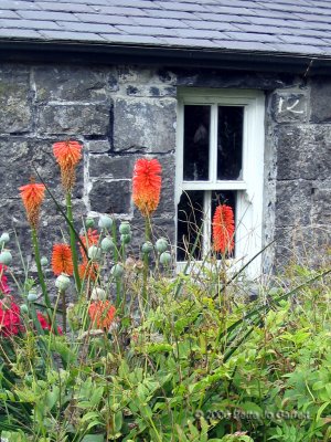 Garden cottage at the Museum of Country Life in County Mayo