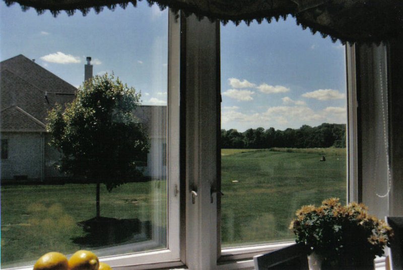 window view