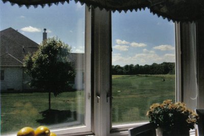 window view