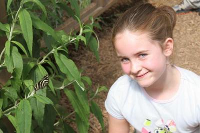 Hailey & a Zebra Longwing (Heliconius charitonius)