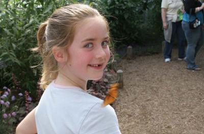 Hailey & a Julia (Dryas iulia) that just flew off