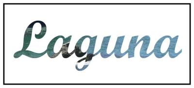 Type with text
