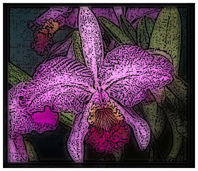Woodcut:  Multipy, high pass, threshold, blur