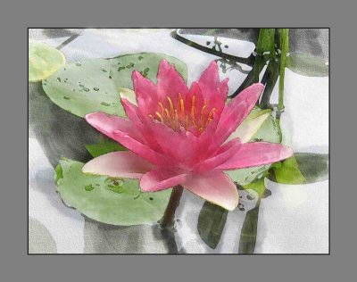 Watercolor project