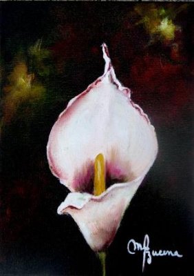 CALLA  LILLY 5 x 7 oil on canvas