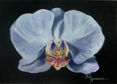 Orquidea Blanca.jpg