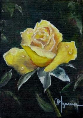 Rosa Amarilla.