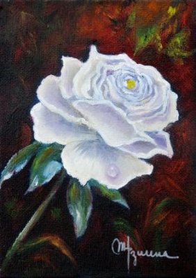 Rosa Blanca.