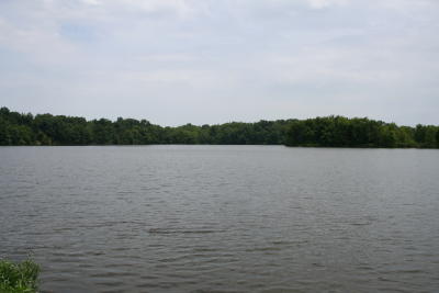 lake grant