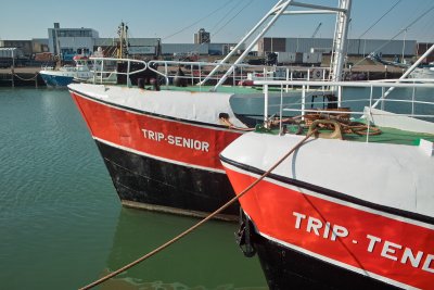 Scheveningen Harbor(2)