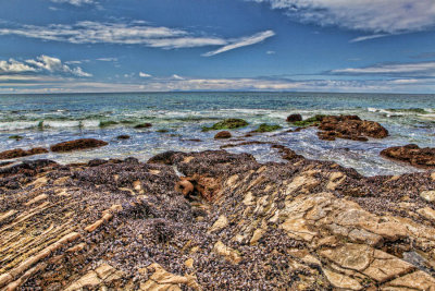 HDR Crystal Cove 2-25-11 40.jpg