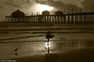 Sunset Surfer 1-29-11.jpg