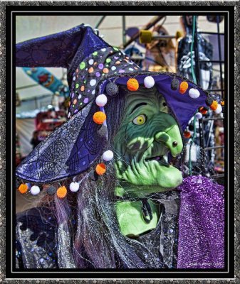 Witch Costume 2010.jpg