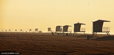 Lifeguard stations 1-3-12 (2).jpg