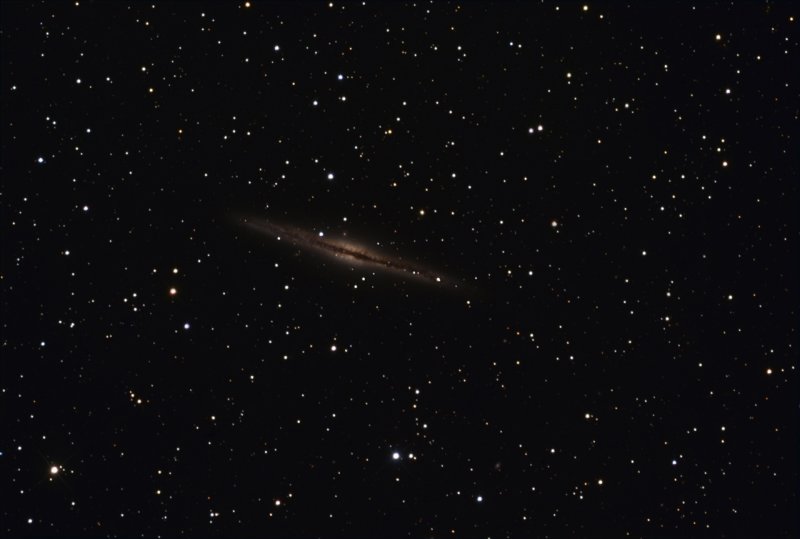 NGC891