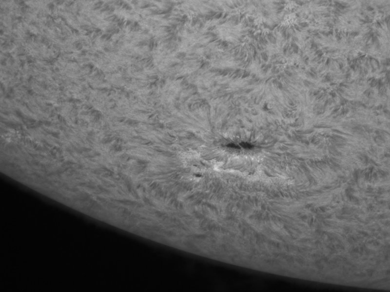 AR 11486