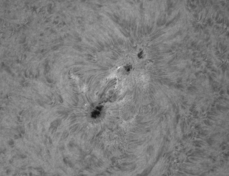 AR 11484