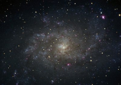 M33