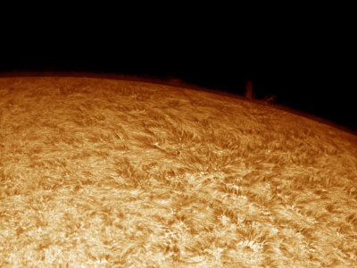 Sun 10.07.2011