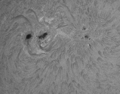 AR 11302 1.10.2011