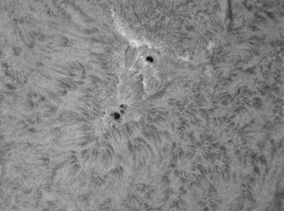 AR 11469