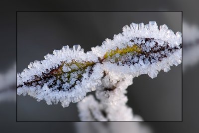 Winter Macro