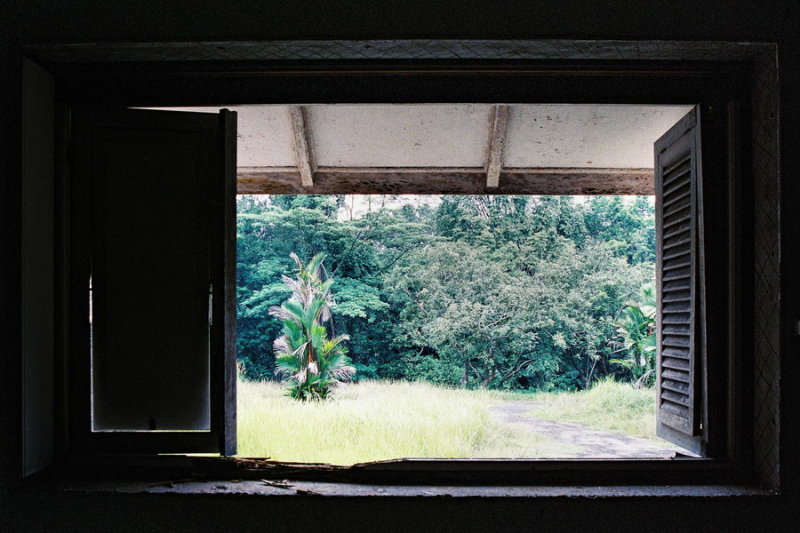 Bathroom view