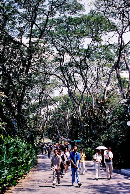 F1000024.JPG