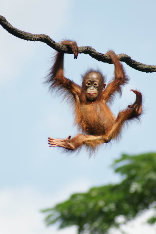 Just hangin around