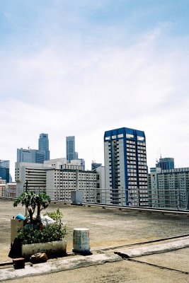 020.JPG