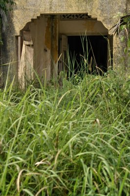 Overgrown