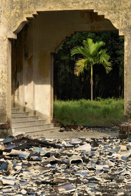 Destruction and life