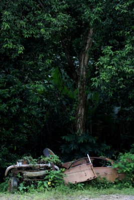 Remnants of luxury