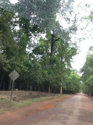 Angkor Wat