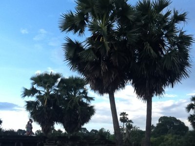 Angkor Wat