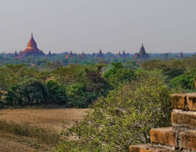 P1060201 3.jpg