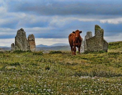 Lewis Island - Scotland, Hebrides 2012