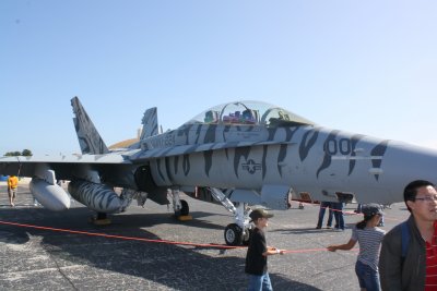 F-18 Hornet