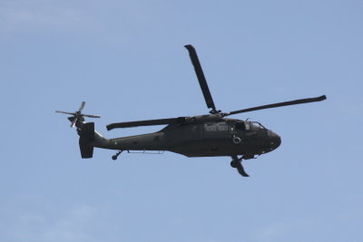 UH-60 Blackhawk (331)
