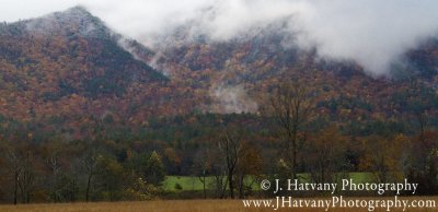 Cade's Cove