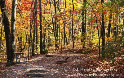 Smoky Mountains Fall 2011